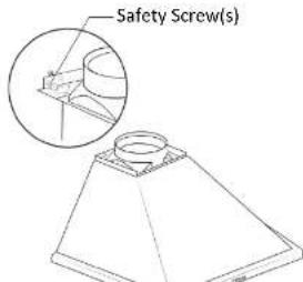 Safety Screw(s)