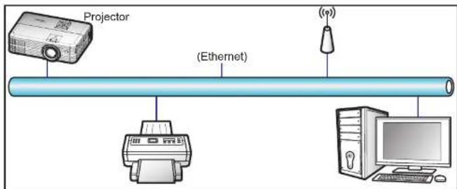 Projector (Ethernet) ((p))