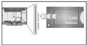 CAM module