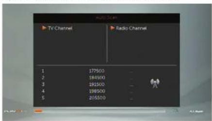 TV Channel Radio Channel 1 177500 - 2 184500 - 3 191500 - 4 198500 - 5 205500 -