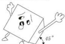 SWAN SR11025GRN - Installation Notes - 1