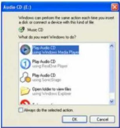 SONY Vaio PCG-FRV25 - Audio CD Window - 1