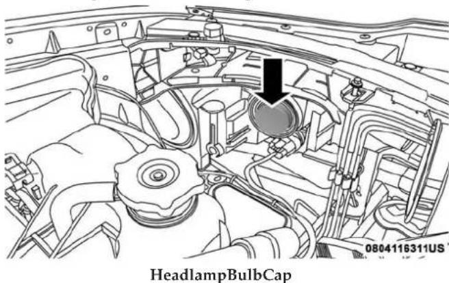 HeadlampBulbCap 0804116311US
