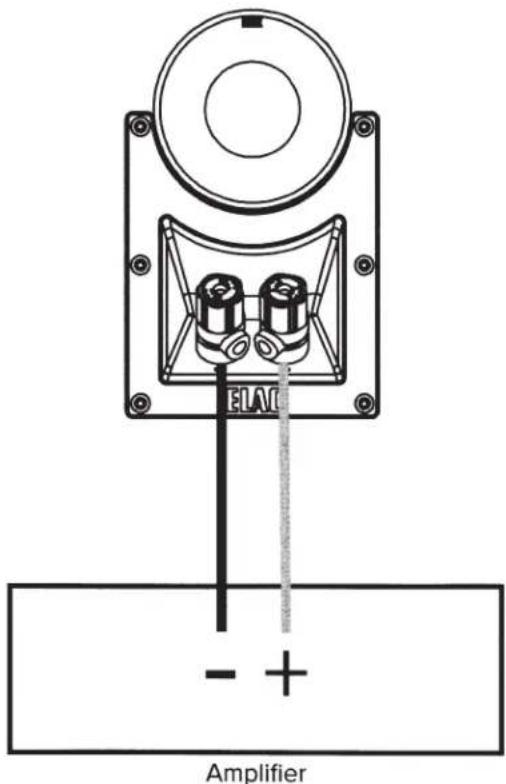 ELAV Amplifier - +