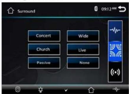 Surround 09:12 AM Concert Wide Church Live Passive None