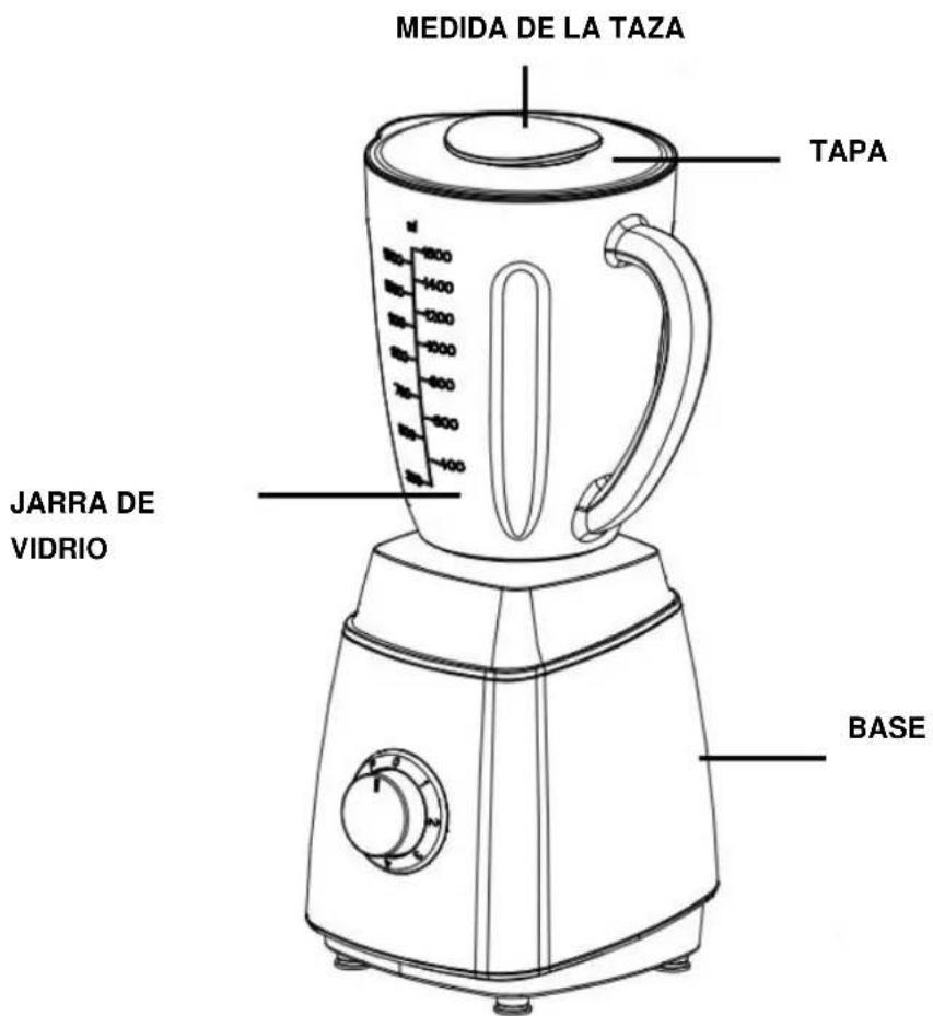 MEDIDA DE LA TAZA TAPA JARRA DE VIDRIO BASE