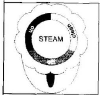 STEAM On Clean