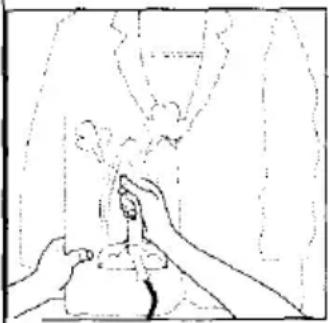 SUNBEAM Simple Press 3030 - To use the vertical steam: - 1
