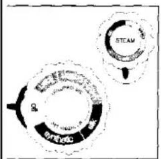 STEAM STRENDIC