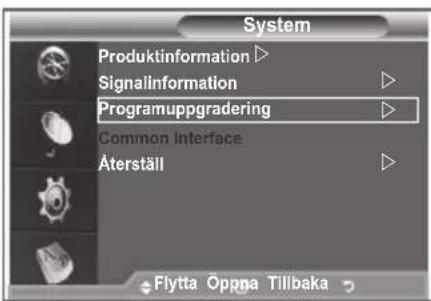 SAMSUNG LE32S86BC - Kontrollera signalinformation - 2