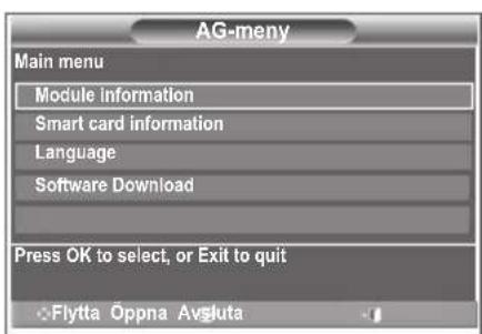 SAMSUNG LE32S86BC - Kontrollera signalinformation - 8