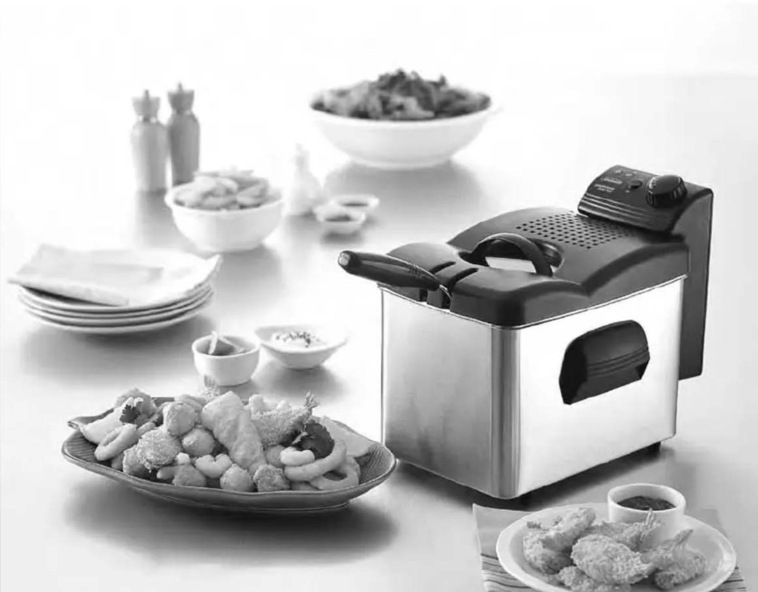 SUNBEAM Stainless Deep Fryer DF6300 - Stainless Deep Fryer - 1