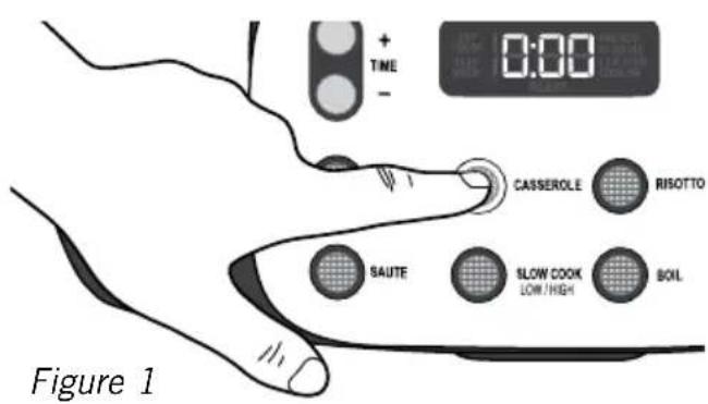 0:00 + TIME - CASSEROLE RISOTTO SAUTE SLOW COOK BOIL Figure 1