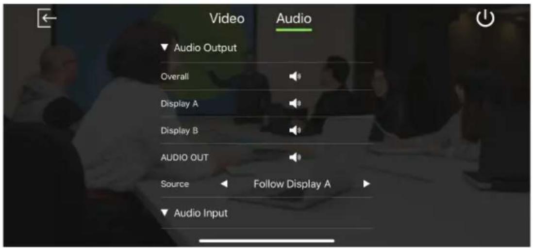 Video Audio Audio Output Overall Display A Display B AUDIO OUT Source Follow Display A Audio Input