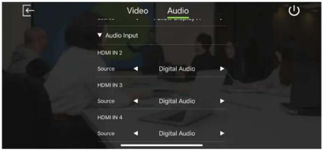 Video Audio HDMI IN 2 Source Digital Audio HDMI IN 3 Source Digital Audio HDMI IN 4 Source Digital Audio