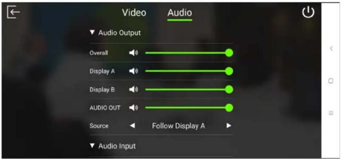 Video Audio Audio Output Overall Display A Display B AUDIO OUT Source Follow Display A Audio Input