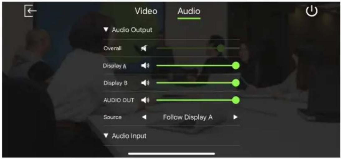 Video Audio Output Overall Display A Display B AUDIO OUT Source Follow Display A Audio Input