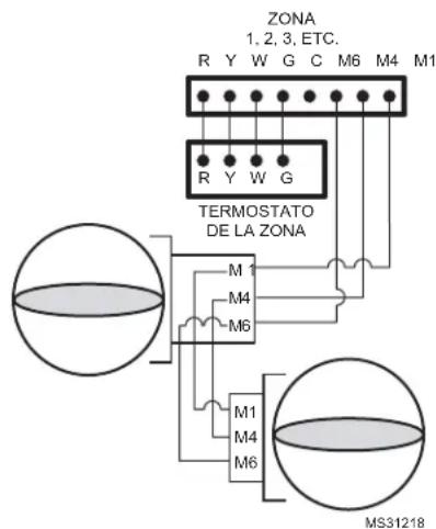 ZONA 1, 2, 3, ETC. R Y W G C M6 M4 M1 R Y W G TERMOSTATO DE LA ZONA M1 M4 M6 M1 M4 M6 MS31218