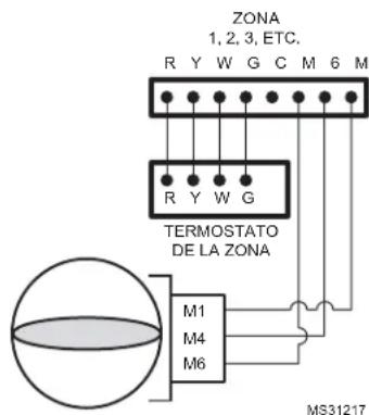ZONA 1, 2, 3, ETC. R Y W G C M 6 M R Y W G TERMOSTATO DE LA ZONA M1 M4 M6 MS31217