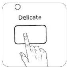 Delicate