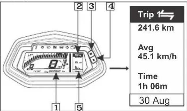 Trip 1 241.6 km Avg 45.1 km/h Time 1h 06m 30 Aug