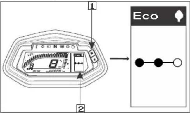 1 2 Eco
