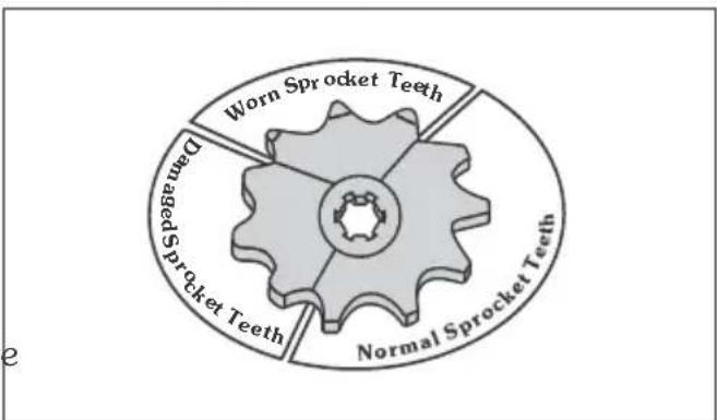 Worn Sprocket Teeth Darm Sprocket Teeth Normal Sprocket Teeth