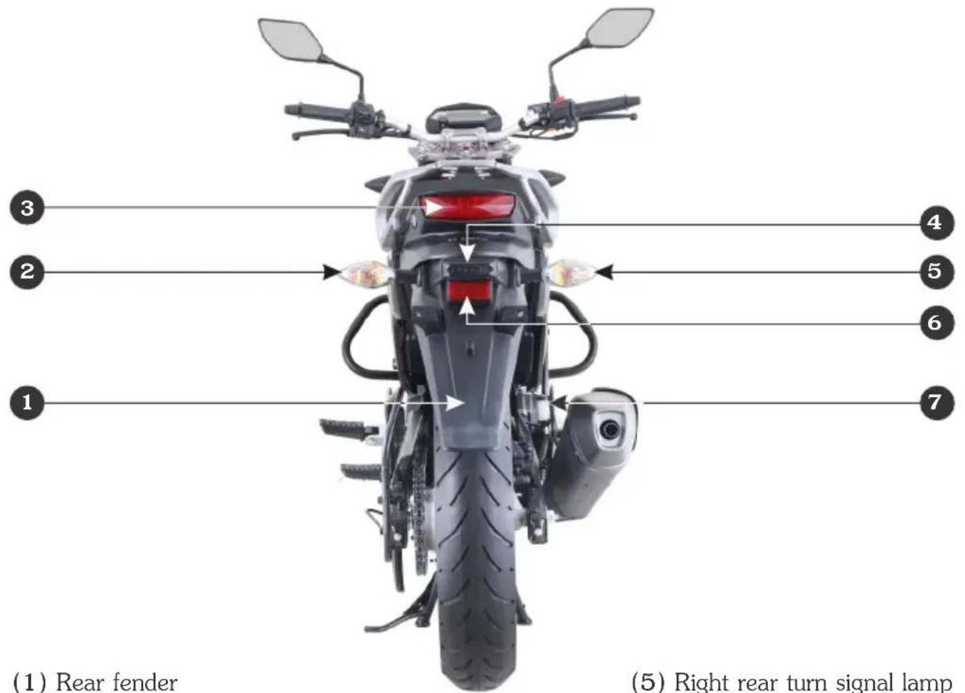 (1) Rear fender (5) Right rear turn signal lamp