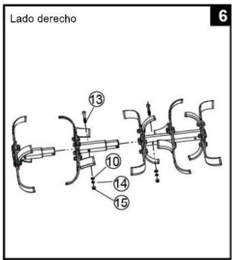 Lado derecho 6