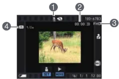 1 2 180-6783 00:00:30 FHD 1/2s SET MOVIE 16/1/1 12:00