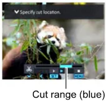 Specify cut location. Cut range (blue)