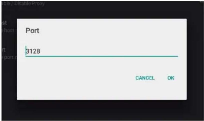 Port 3128 CANCEL OK