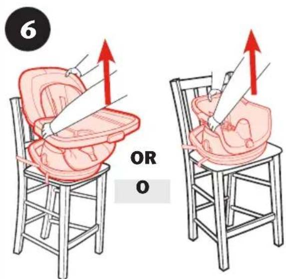 6 OR O