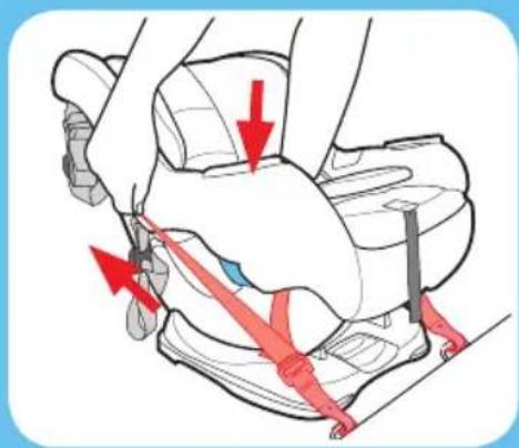 GRACO Sequel 65 - Attach LATCH Connectors to Vehicle's Lower LATCH Anchors. - 4