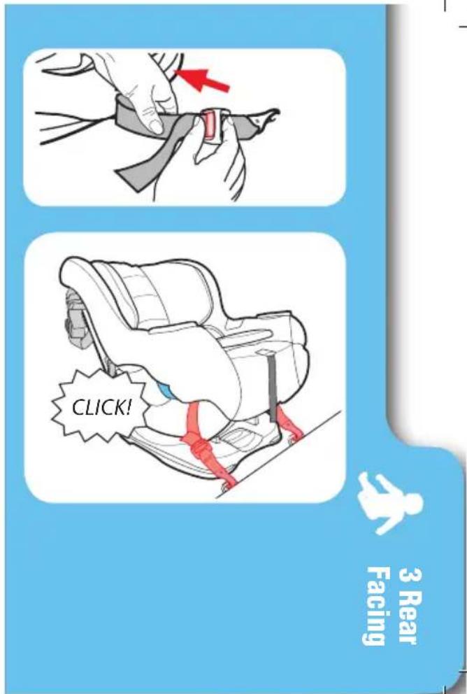 3 Rear Facing CLICK!