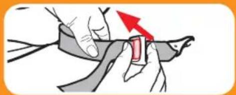 GRACO Sequel 65 - Correa del LATCH - 1