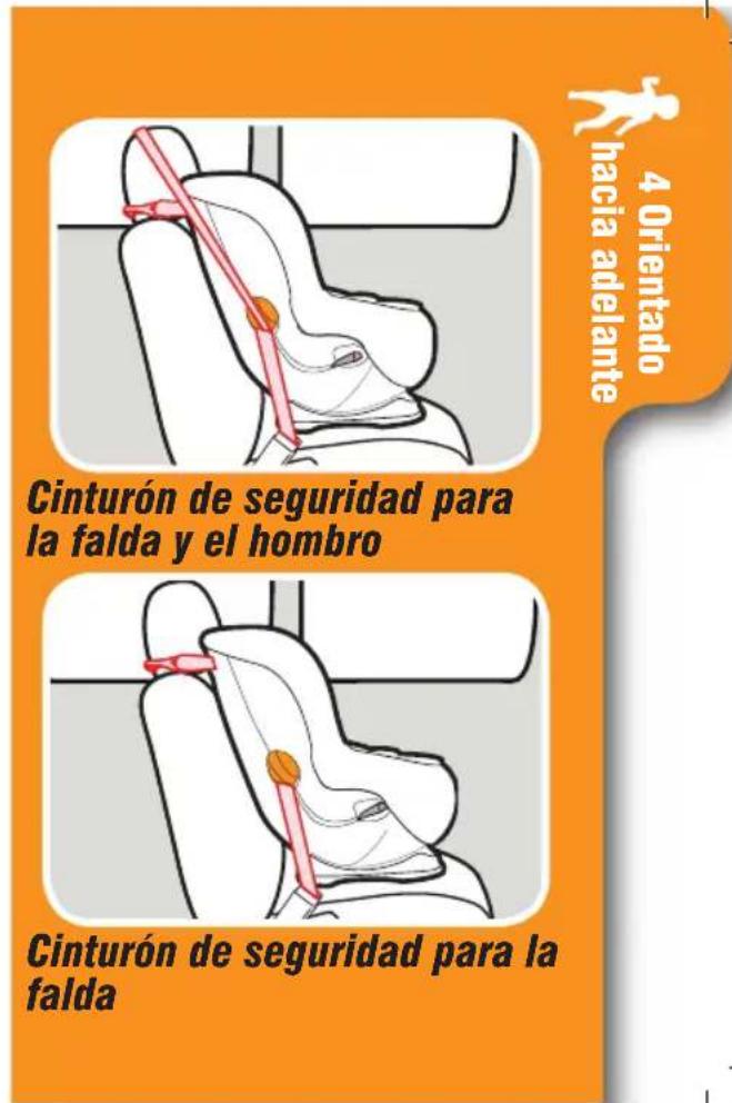 4 Orientado hacia adelante Cinturón de seguridad para la falda y el hombro Cinturón de seguridad para la falda