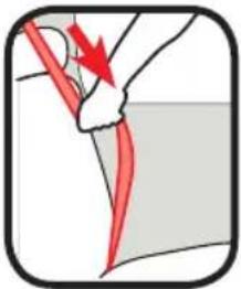 GRACO Sequel 65 - Lap/Shoulder Belt Installation - Rear-Facing/Forward Facing Modes - 1