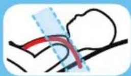 GRACO Sequel 65 - Is Everything Correct? - 3