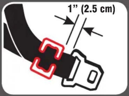 1" (2.5 cm)