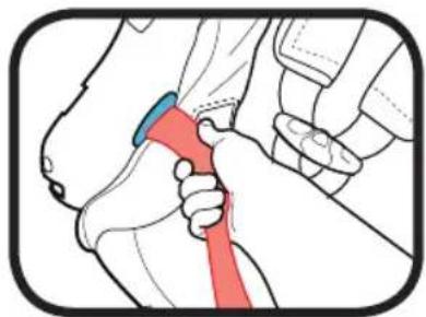 GRACO Sequel 65 - Tighten the LATCH Strap - 1