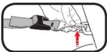 GRACO Sequel 65 - 8-A How to Remove LATCH and Top Tether - 2