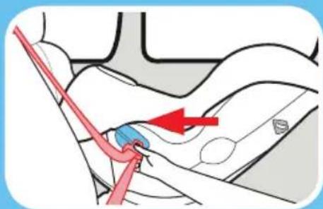 GRACO Sequel 65 - Review your vehicle's owner manual for vehicle seat belt use - 1