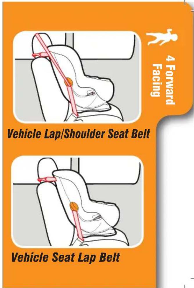 4 Forward Facing Vehicle Lap/Shoulder Seat Belt Vehicle Seat Lap Belt