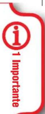 i -1 Importante