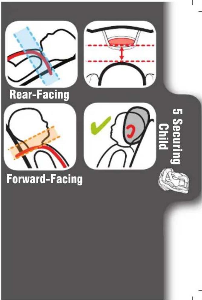 Rear-Facing Forward-Facing 5 Securing Child