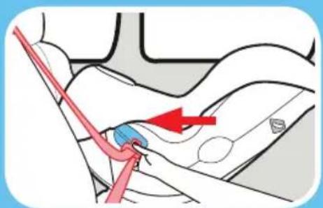 GRACO Sequel 65 - Consulte el manual del propietario de su vehículo para obtener el uso del cinturón de seguridad del vehículo - 1