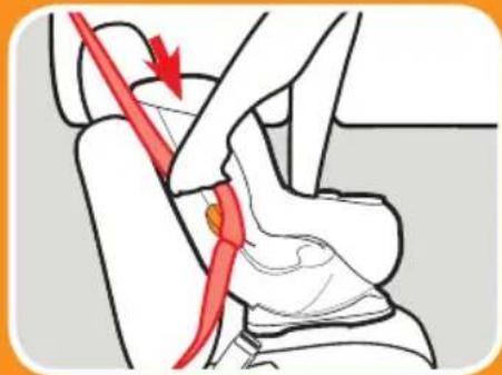 GRACO Sequel 65 - Route the Vehicle Seat Belt - 1