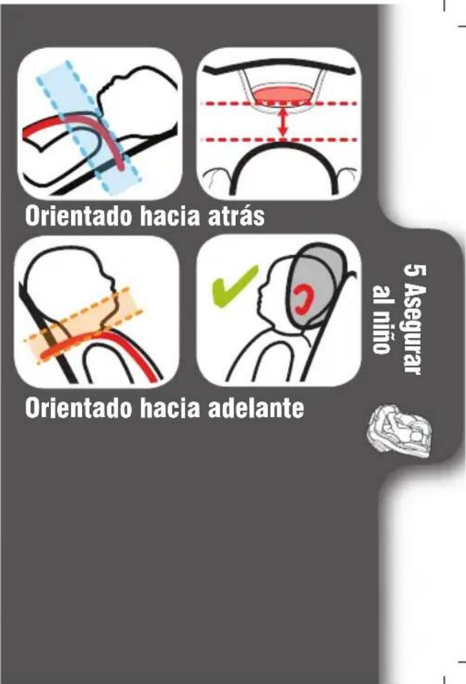 Orientado hacia atrás Orientado hacia adelante 5 Asegurar al niño