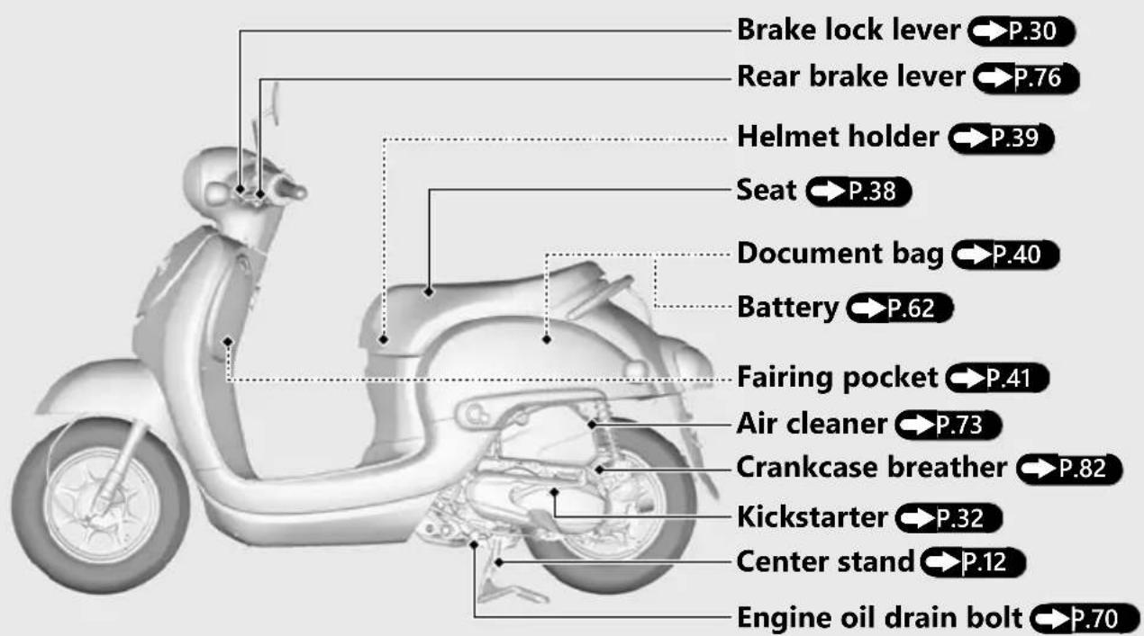 Brake lock lever →P.30 Rear brake lever →P.76 Helmet holder →P.39 Seat →P.38 Document bag →P.40 Battery →P.62 Fairing pocket →P.41 Air cleaner →P.73 Crankcase breather →P.82 Kickstarter →P.32 Center stand →P.12 Engine oil drain bolt →P.70